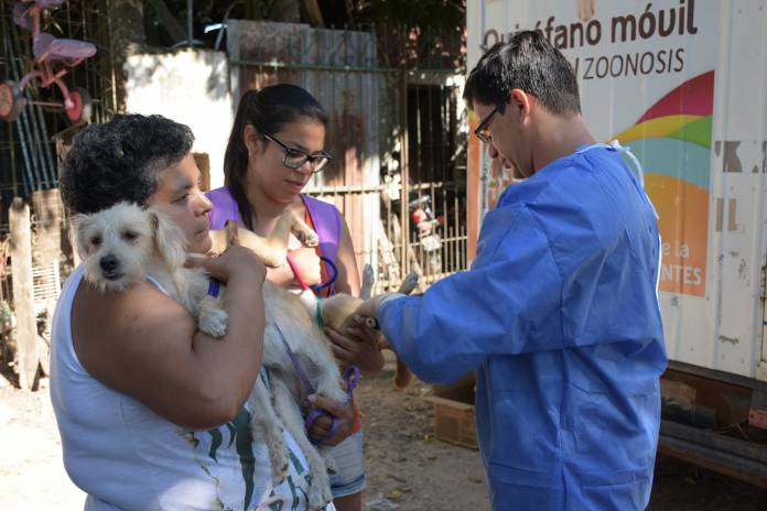 e6eda028-709d-436f-8236-5398a881a769