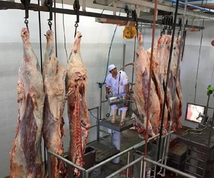 operario frigorifico