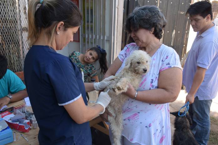 02e5561a-577c-4ef4-8994-5b8b0b405ad9