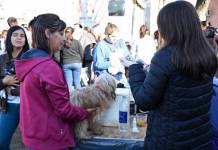Impulsan en Corrientes la creación del primer Registro de Maltratadores de Animales