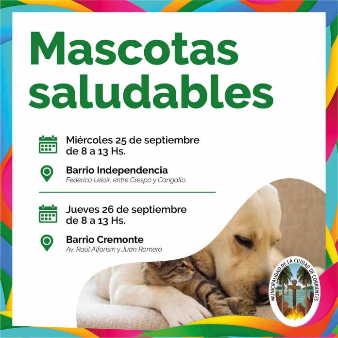 ddd89996-0b9a-499b-80b8-49e60325f970