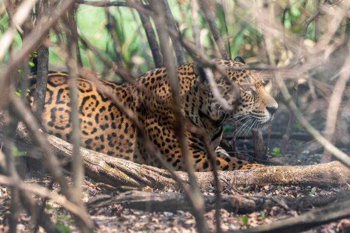 73124322_1964937963640846_1039807051171102720_o