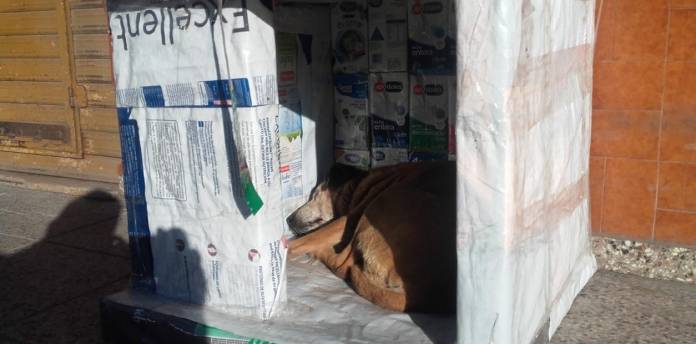 protegidos-los-alumnos-ubican-los___qGzRi3Bc_1256x620__1