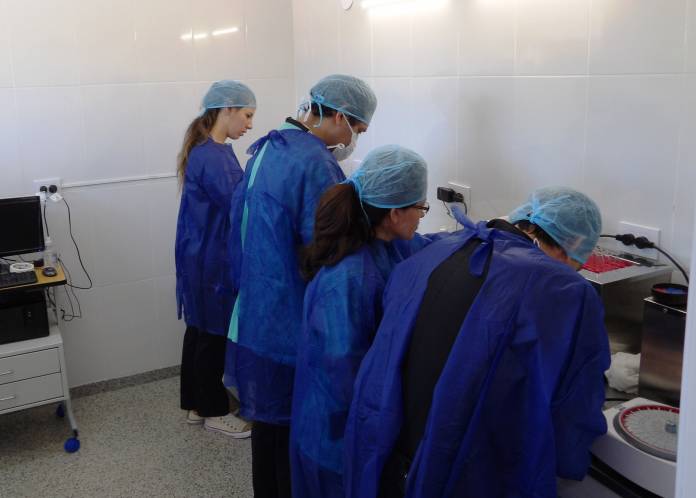 KODAK Digital Still Camera