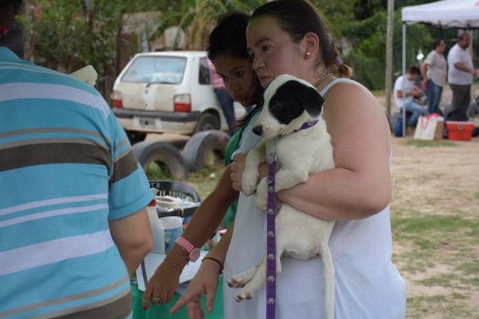 bbbf433d-d2dc-4c40-a350-e01bfd41d35f