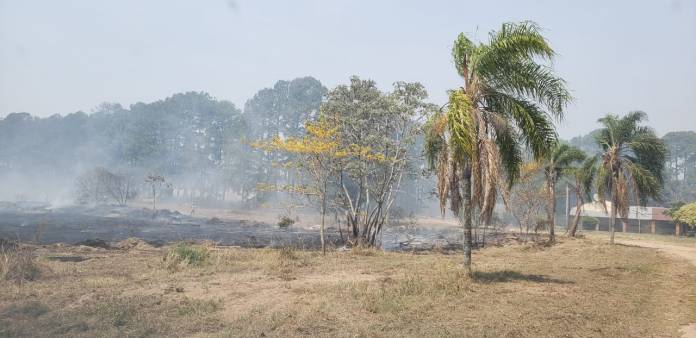 incendio forestal