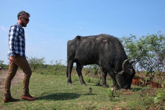 694d824321e18e6d8c728a159444658d546d751d