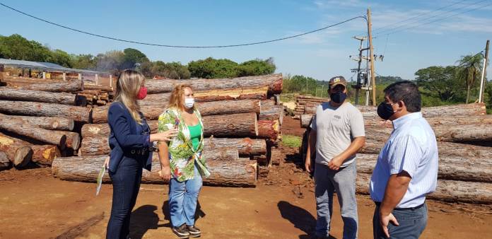 Gabur en San Carlos (2)