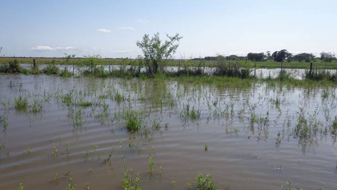 881c86b79e87ef4af7a6d69f5fbf0628655a9c15