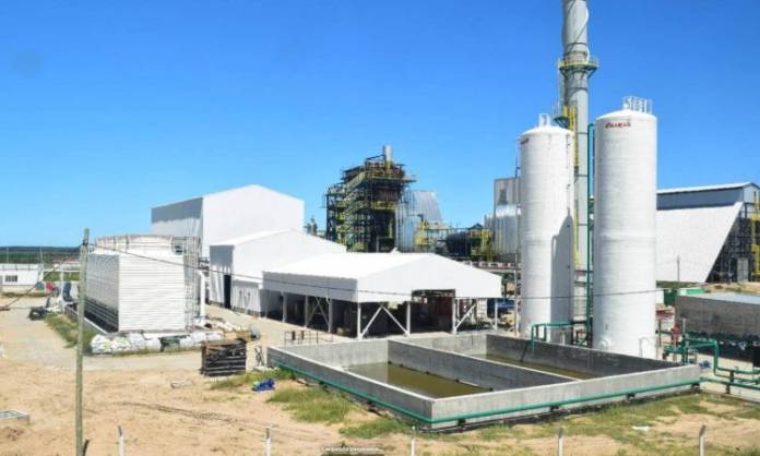 Planta-GenergiaBio-Corrientes