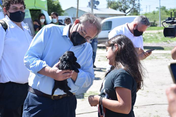 19cb6fae-7dfe-e9d8-ccff-49e1a356d3dd