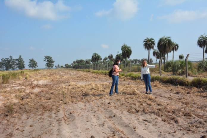 Cortafuegos Santa Rosa (1)