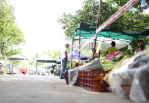 Esta semana, las Ferias de la Ciudad continúansu recorrida por plazas y paseos