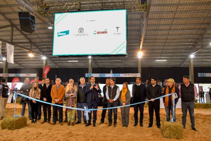 d179648918edb061e5a495c8c57cd0ece5b7d819