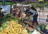 El morrón por las nubes: la odisea del frío y las nuevas estrategias de consumo en la feria de Corrientes
