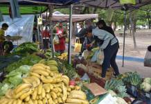 El morrón por las nubes: la odisea del frío y las nuevas estrategias de consumo en la feria de Corrientes