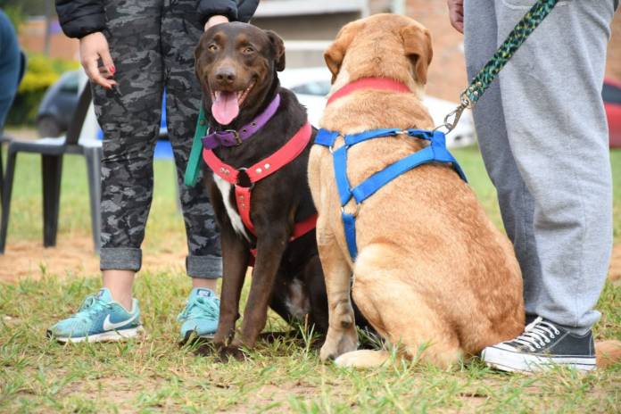 d538e9ff-6aeb-8f1a-3926-057f27fabf71