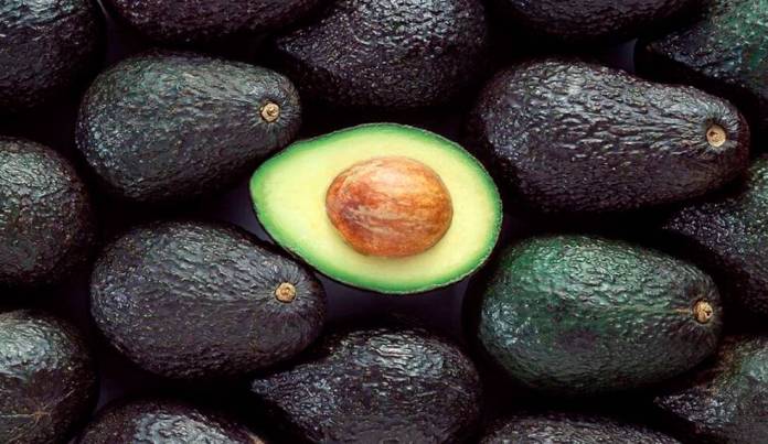 palta