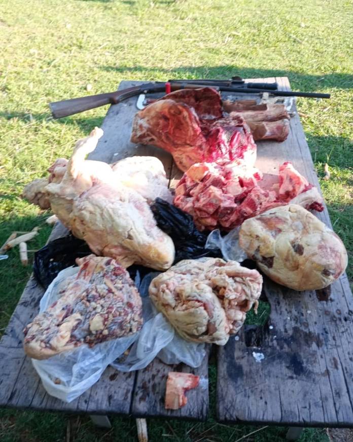 PRIAR DE SALADAS (1)