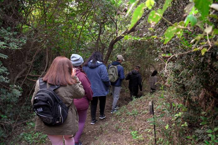 732c1498-c3f4-76c8-4bd7-5a34c4525490