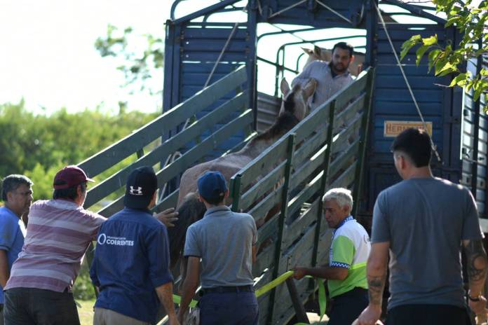 bcc3de7f-3d21-2425-90e0-411f9a29705a