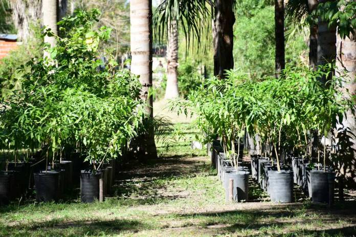 dd60921e-b73b-b5e2-14f4-8d0dd3942d5b