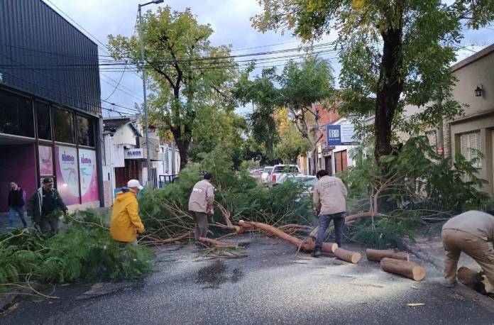 ac5f0737-e223-9c99-9ba7-ef8be02feeef