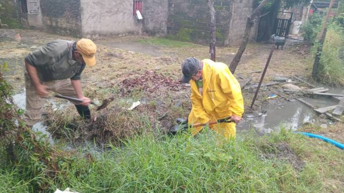 11042efc-518d-2cd7-34ea-83f1d40281ce