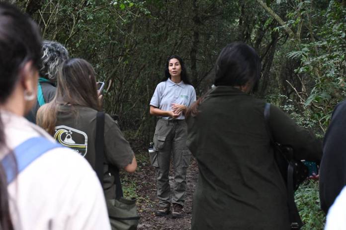 adf36822-52da-3c20-6999-11e101b6ccd6