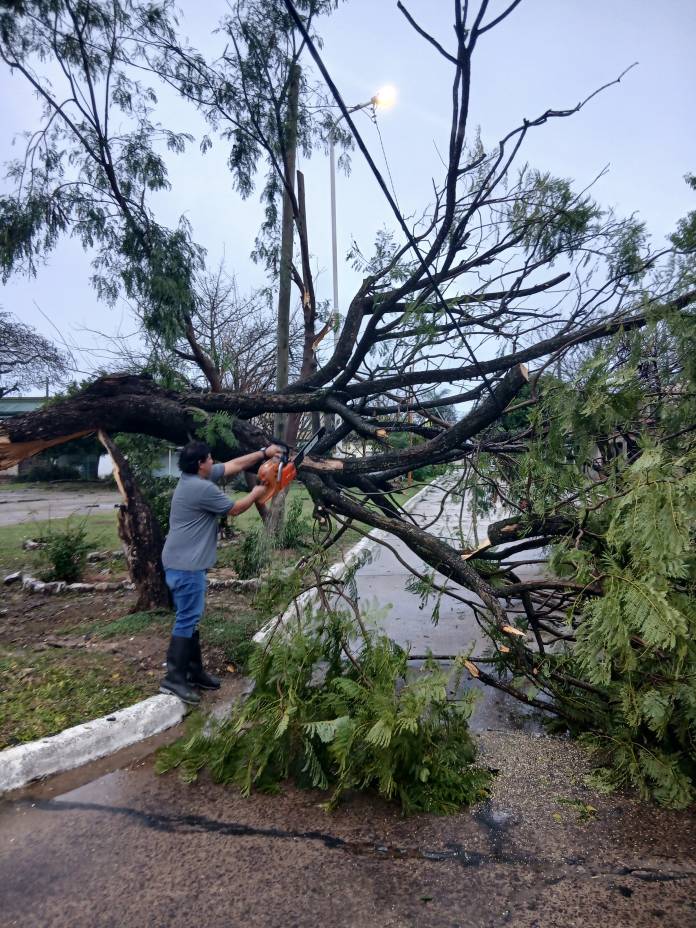 d3334875-dae4-1004-52d8-8ab9eb45c0d7