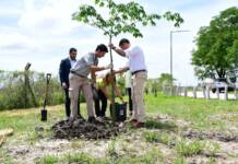 El Municipio y la UNNE fortalecen la investigacióny planificación del arbolado en la ciudad