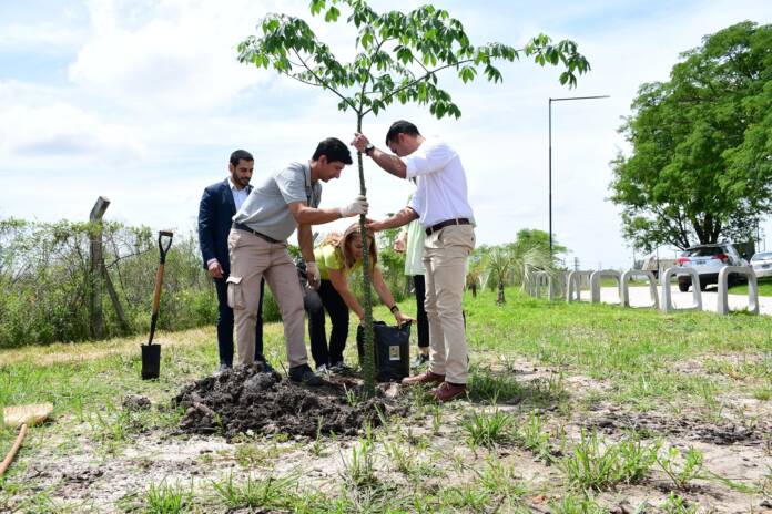 0873ded6-18a9-82da-20c4-1e06bbd6f349