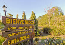 Colonia Carlos Pellegrini: un fallo que altera su tranquilidad