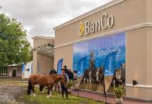 El Banco de Corrientes, motor financiero del agro regional en 2025