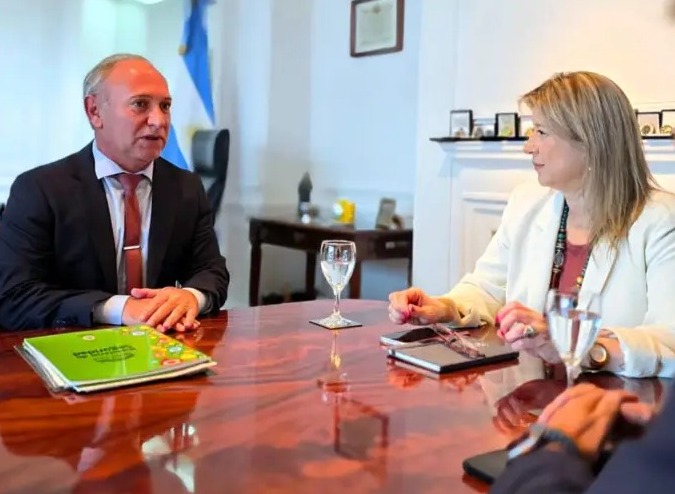 WhatsApp Image 2026-02-03 at 11.33.21