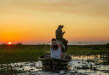 El Iberá duplicó el número de turistas en 10 años y el 90% son argentinos