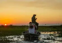 El Iberá duplicó el número de turistas en 10 años y el 90% son argentinos