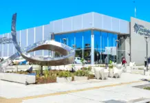 Instituto Oncológico “Papa Francisco”: con un centro de atención modelo, la Provincia insta a la prevención en el Día Mundial contra el Cáncer