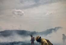 El despliegue coordinado de las brigadas logra contener múltiples incendios