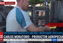 Productores cuestionan el uso obligatorio de caravanas digitales para el ganado por el aumento de costos