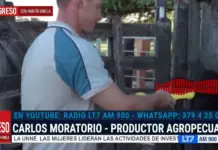 Productores cuestionan el uso obligatorio de caravanas digitales para el ganado por el aumento de costos