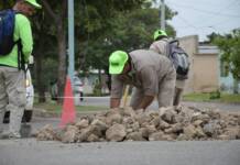 El Municipio avanza con trabajos debacheo integral sobre avenida Las Heras