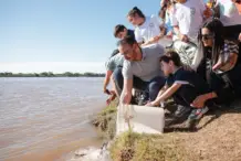 Goya: liberaron de 5.000 alevines en el Paraná