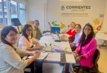 Reunión del Co.Pro.Dis con referentes del Nea para fortalecer políticas de discapacidad
