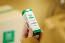 Valdés habilita la comercialización en farmacias del aceite medicinal de Caá Cannabis