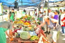 Las Ferias de la Ciudad inician una nueva semanade recorrida por espacios públicos