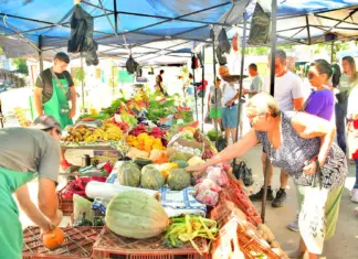 Las Ferias de la Ciudad inician una nueva semanade recorrida por espacios públicos