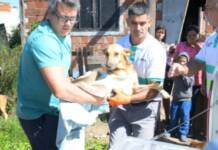 Rescate en el Barrio Costa Esperanza: Retiran a un perro malherido de un hogar que no garantizaba su salud