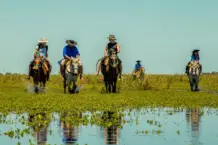 Día Mundial del Medio Ambiente: Iberá, símbolo de conservación y desarrollo para Corrientes