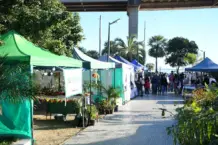 Este finde habrá recorridos guiados, festival ambiental, patio cervecero y peña de la ciudad